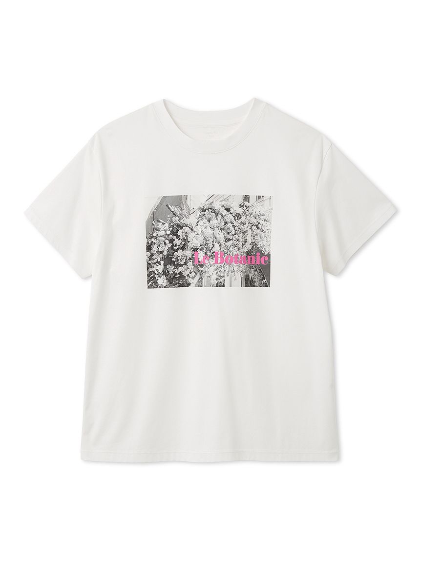 今季未使用　FRAY I.D  フロントフォトTシャツ　ラベンダー ラベンダードライTシャツ 半袖2L | ファーム富田の通信販売