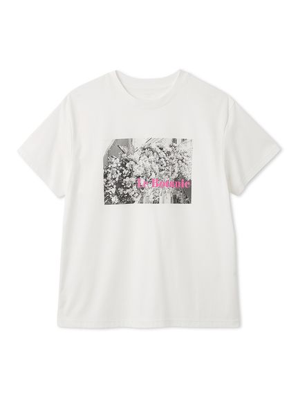 オーバーサイズフォトプリントTシャツ(カットソー)｜トップス｜FRAY