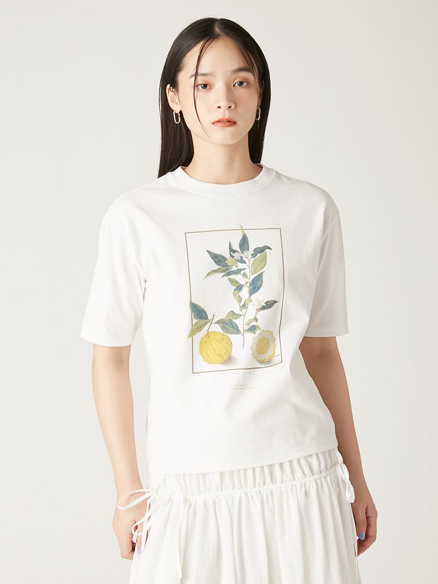 ボタニカルアートプリントTシャツ(カットソー)｜トップス｜FRAY