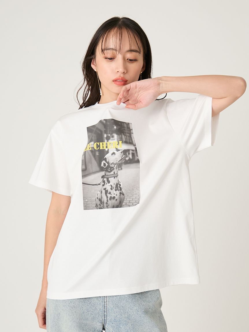 オーバーサイズフォトプリントTシャツ(カットソー)｜トップス｜FRAY