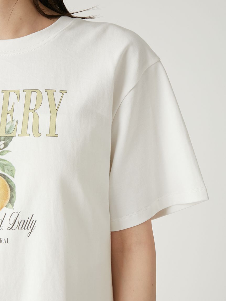 フルーツプリントTシャツ／ウォッシャブル(Tシャツ)｜トップス｜FRAY 