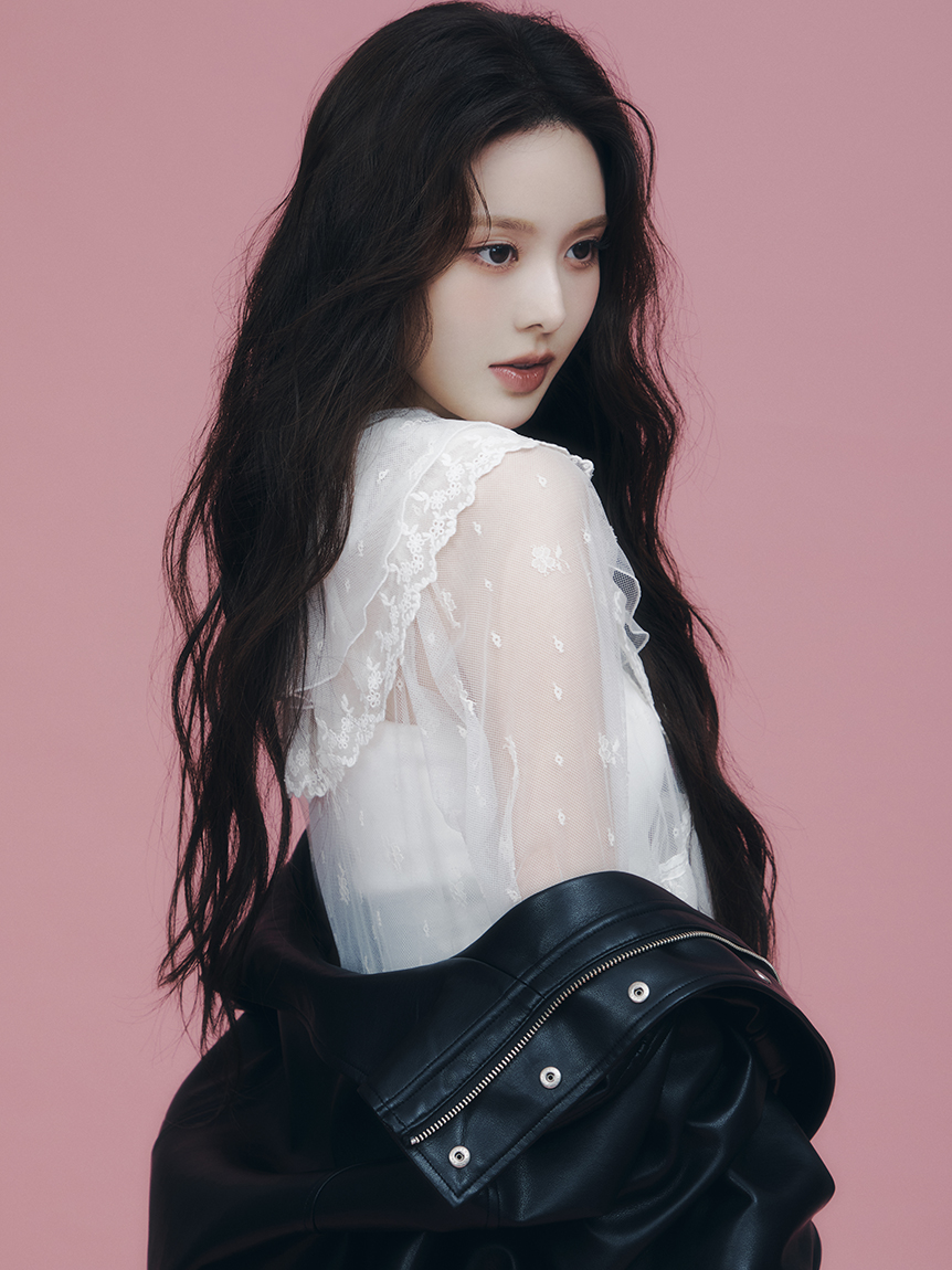 ラッフルデザインチュールエンブロイダリーブラウス(ブラウス