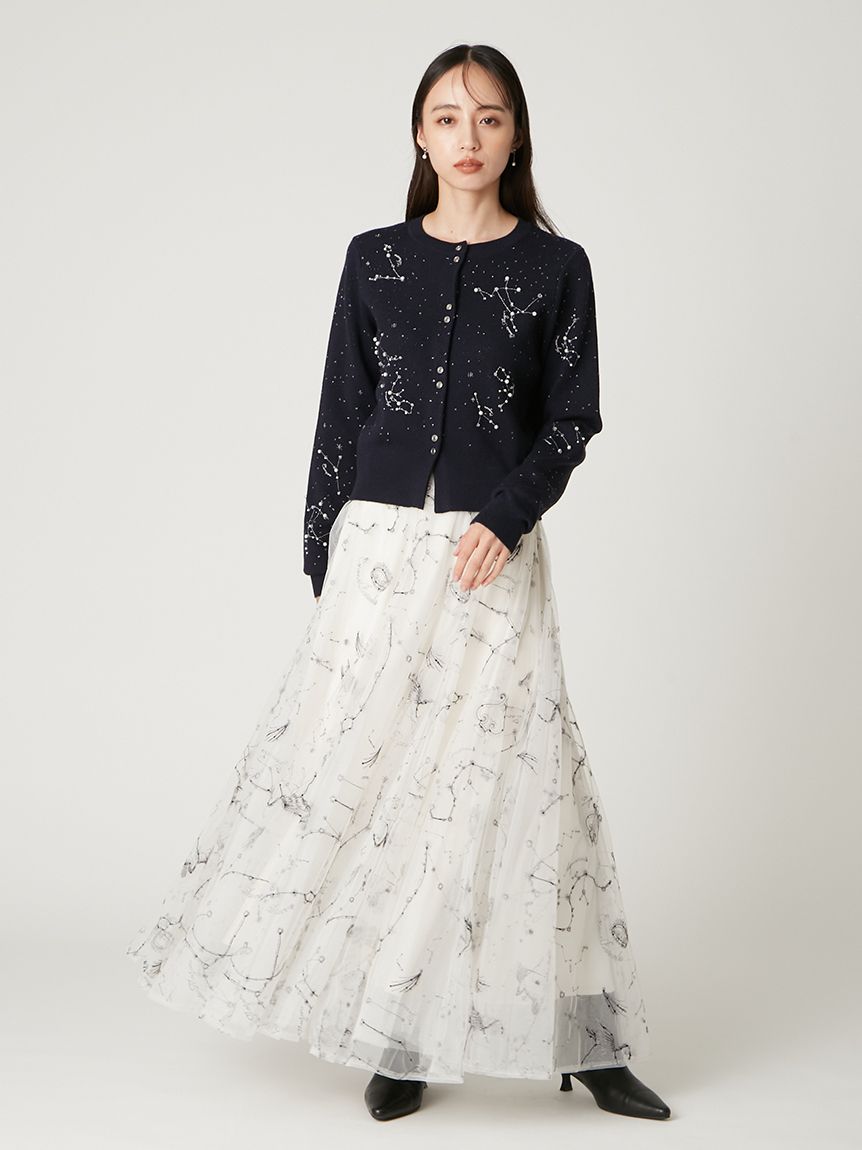 エトワールエンブロイダリーチュールスカート(ロングスカート