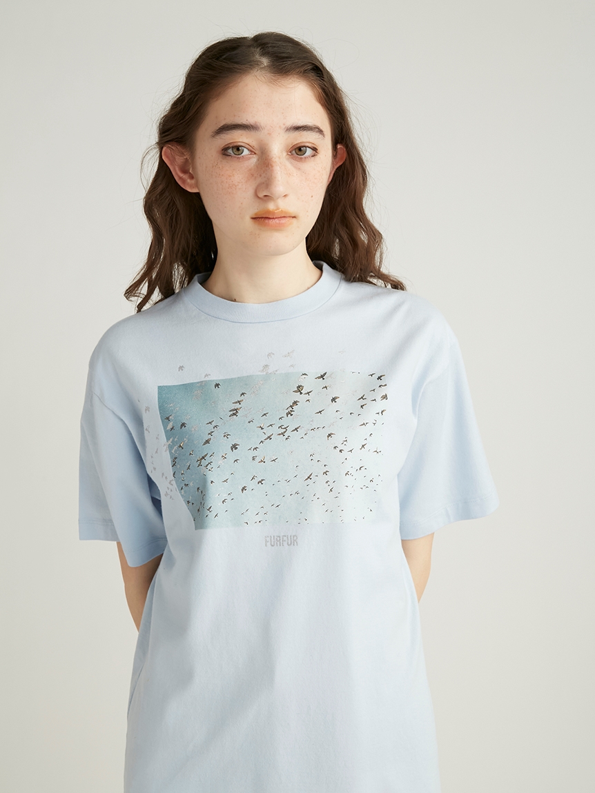 Mai Kiseコラボ/BIRDTシャツ(Tシャツ／カットソー)｜トップス｜FURFUR
