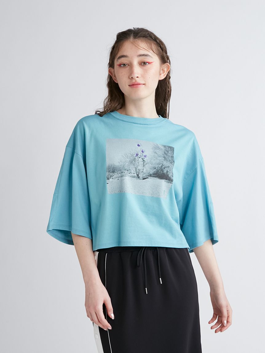 Mai Kiseコラボ/サボテン刺繍Tシャツ(Tシャツ／カットソー ...