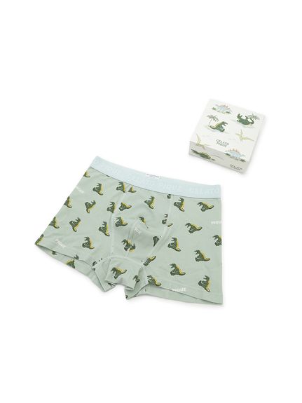 HOMME】スリーピングダイナソー柄ボクサーパンツ BOX付き(アンダー