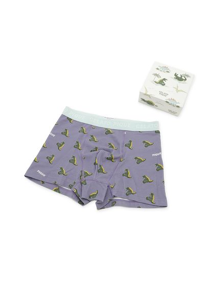 HOMME】スリーピングダイナソー柄ボクサーパンツ BOX付き(アンダー