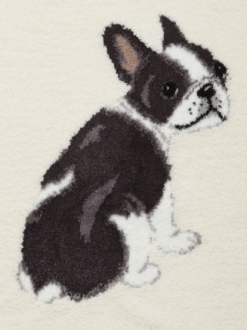 HOMME】パウダーノルディック DOGジャガードブランケット(その他