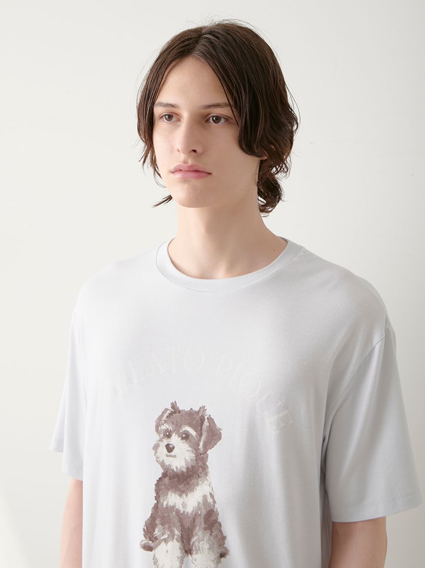 gelato pique シュナウザー パジャマ 上下セット　新品未使用 オフィシャルサイト・MASH STORE限定】シュナウザー柄ワンピース