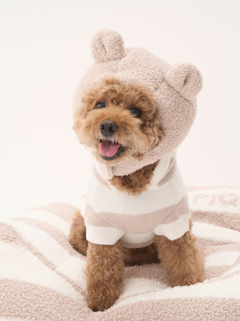 ジェラートピケ 犬用 服 Lサイズ - 犬用品