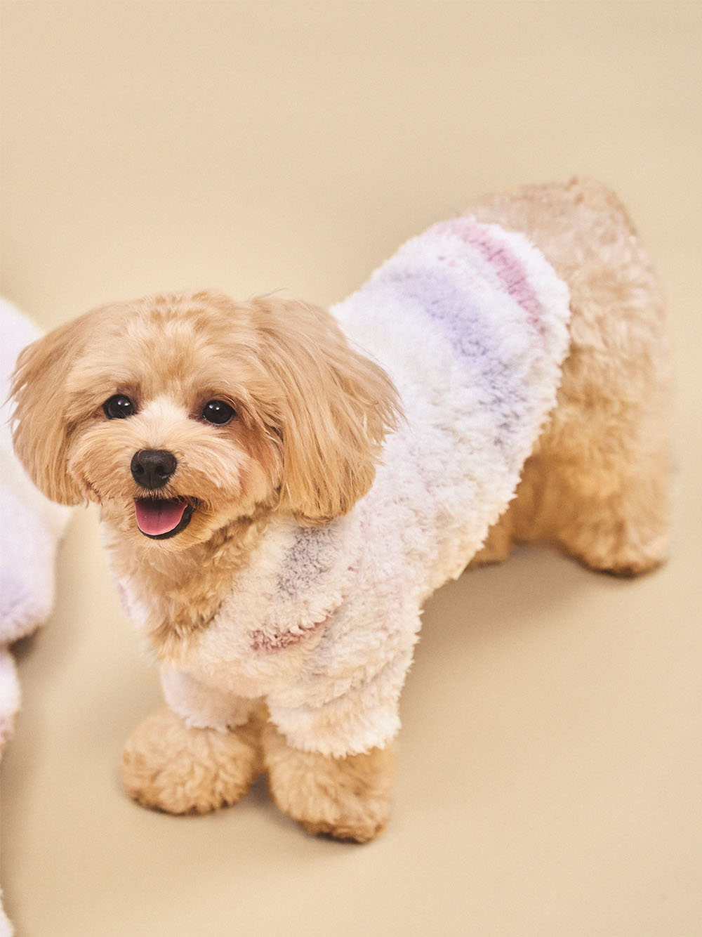 公式】CAT&DOG gelatopique(ジェラートピケ) |オフィシャル通販 ...