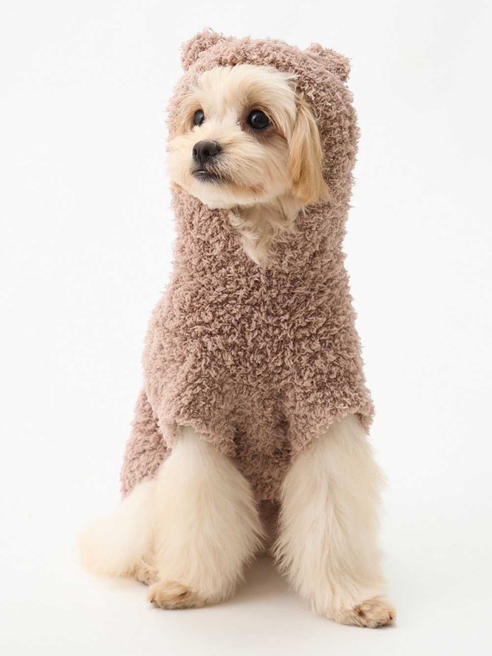 公式】CAT&DOG gelatopique(ジェラートピケ) |オフィシャル通販 ...