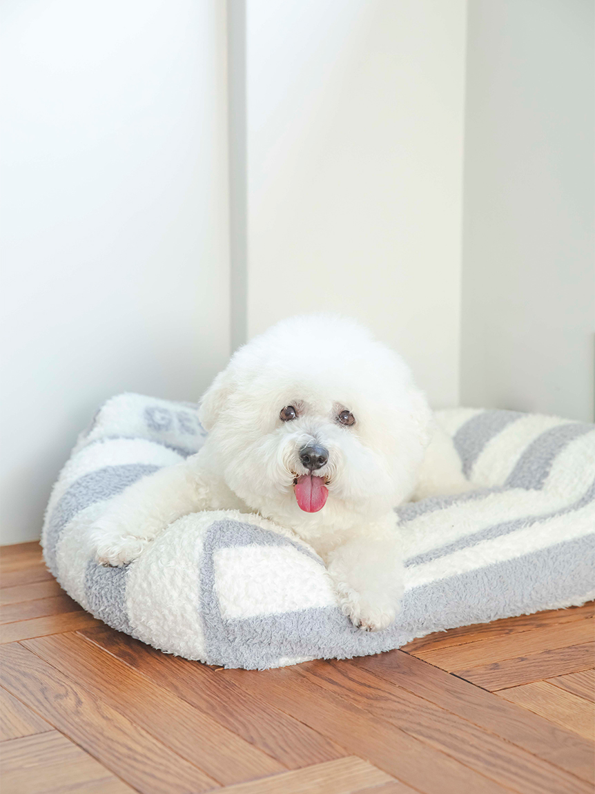 CAT&DOG】【販路限定商品】ジェラートソファ型ベッド(ベッド・ハウス