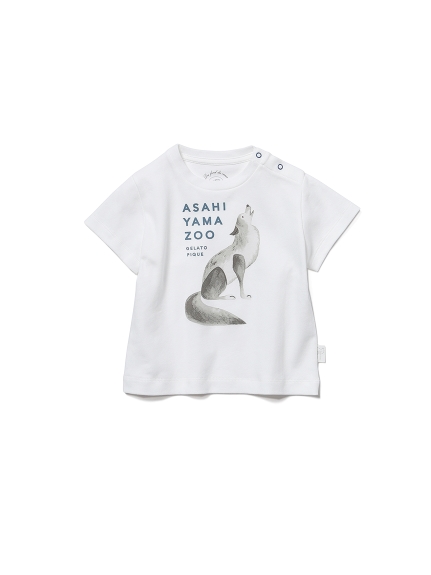 【BABY】【旭山動物園】オオカミ baby Tシャツ