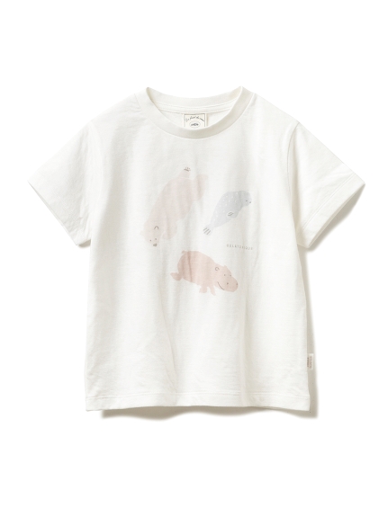 旭山動物園 ペイントアニマル Kids Tシャツ カットソー Tシャツ ルームウェア パジャマ通販のgelatopique ジェラートピケ 公式サイト