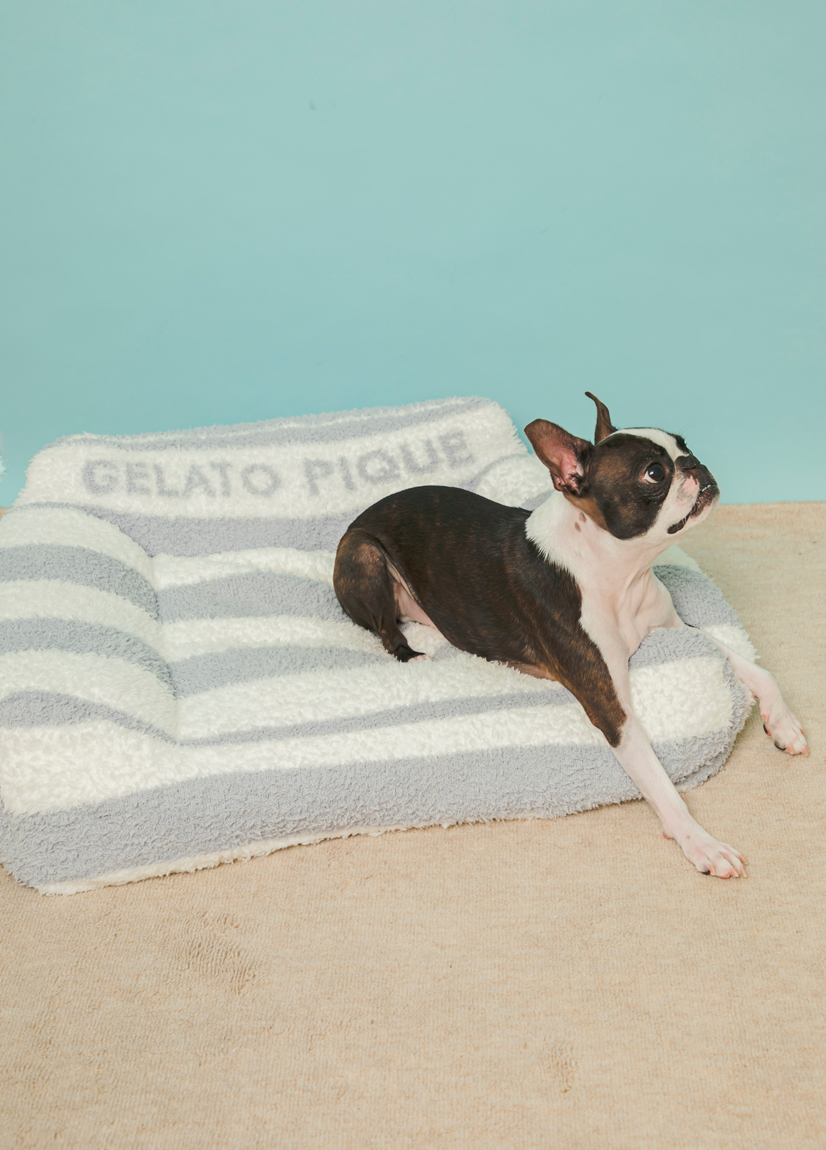 CAT&DOG】【販路限定商品】ジェラートソファ型ベッド(ペットベッド