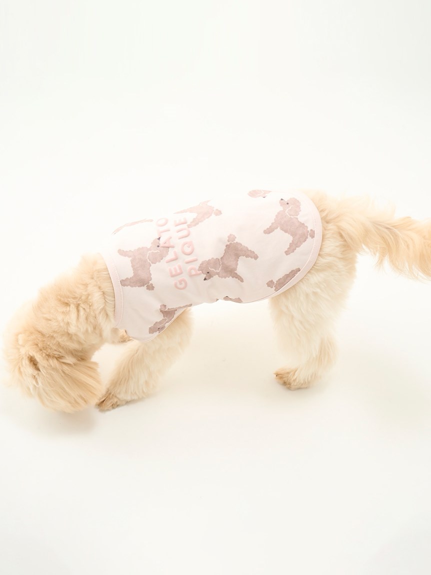 CAT&DOG】【販路限定商品】トイプードル柄ウェア(ペット服)｜ルーム 