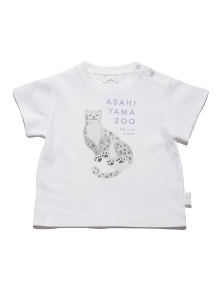 【BABY】【旭山動物園】ユキヒョウ baby Tシャツ | PBCT212476