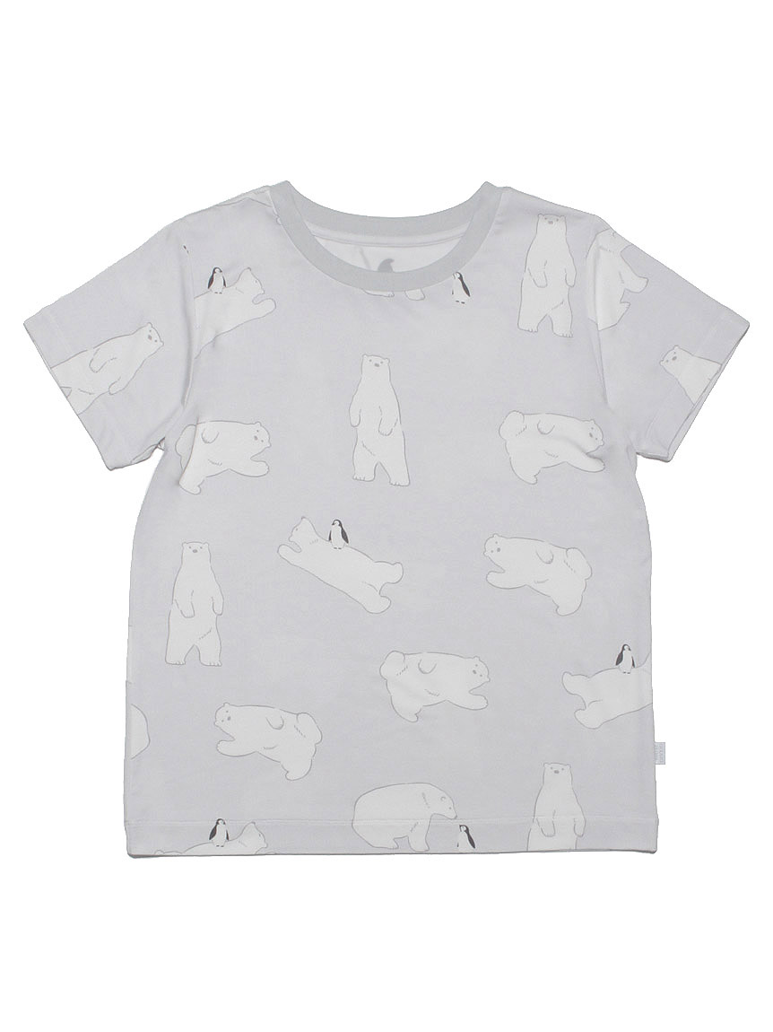 挨拶する 政治 ケープ ジェラート ピケ しろくま 増幅する 銀 肉腫