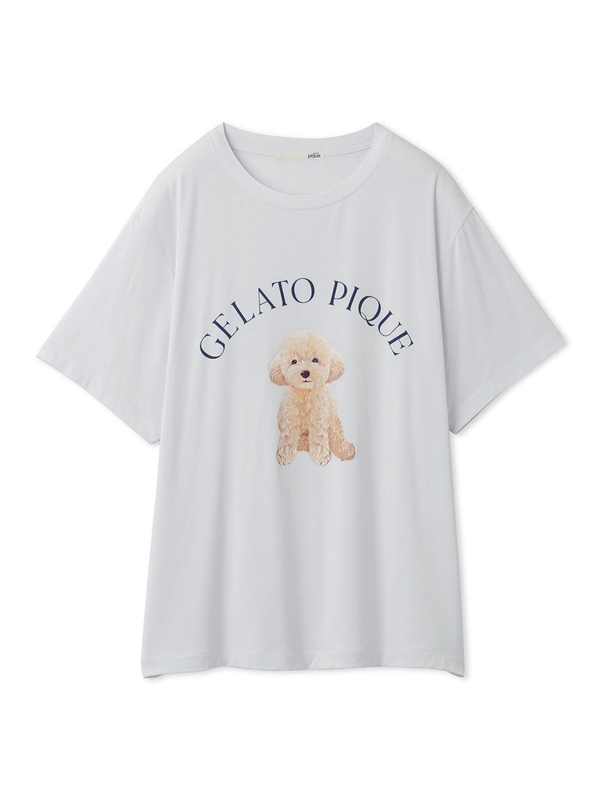 ラッピング済み】DOG柄ワンポイントTシャツ＆ショートパンツSET