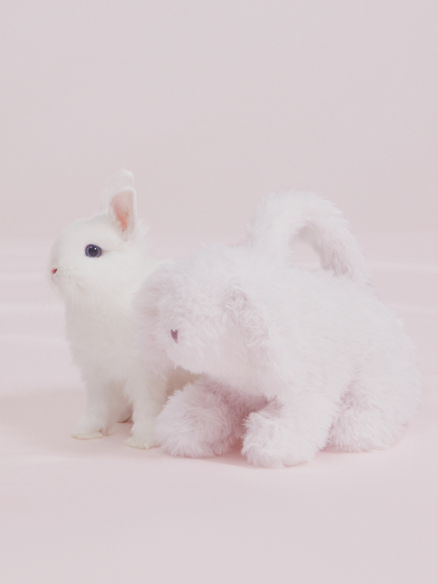 bunny】バニーハンドバッグ(バッグ・エコバッグ)｜ルームウェア