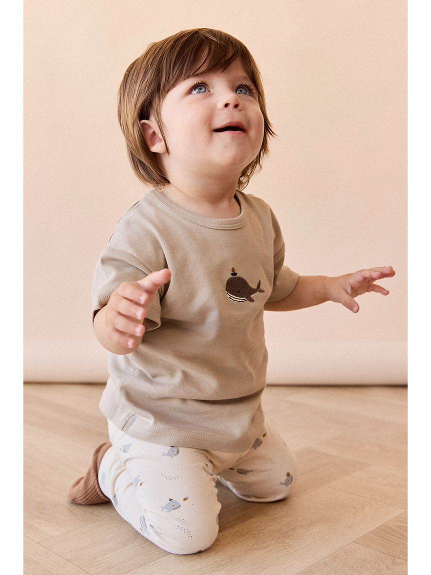 HunteTシャツHazy Taupe Whale／ピマコットン(洋服) │ JAMIE KAY