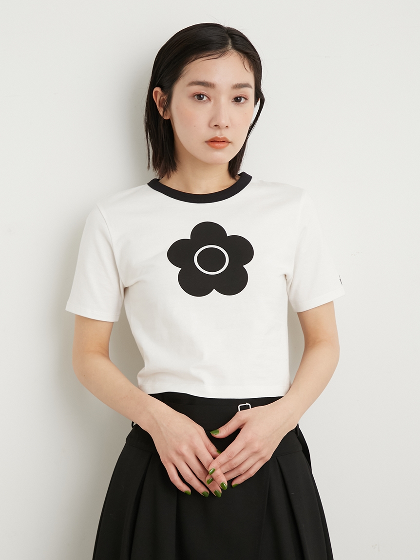 新品✨リリーブラウン　マリークワント　コラボ　クロップドＴシャツ