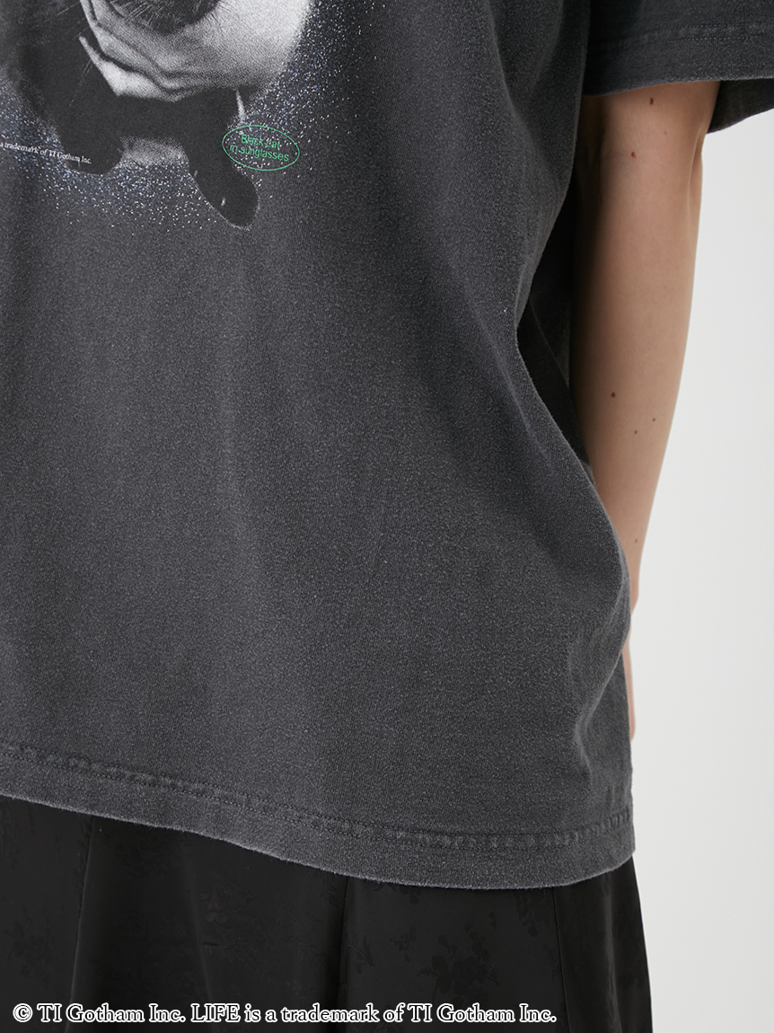 LILY BROWN×GOOD ROCK SPEED×LIFE PC】Cat Tシャツ(Tシャツ
