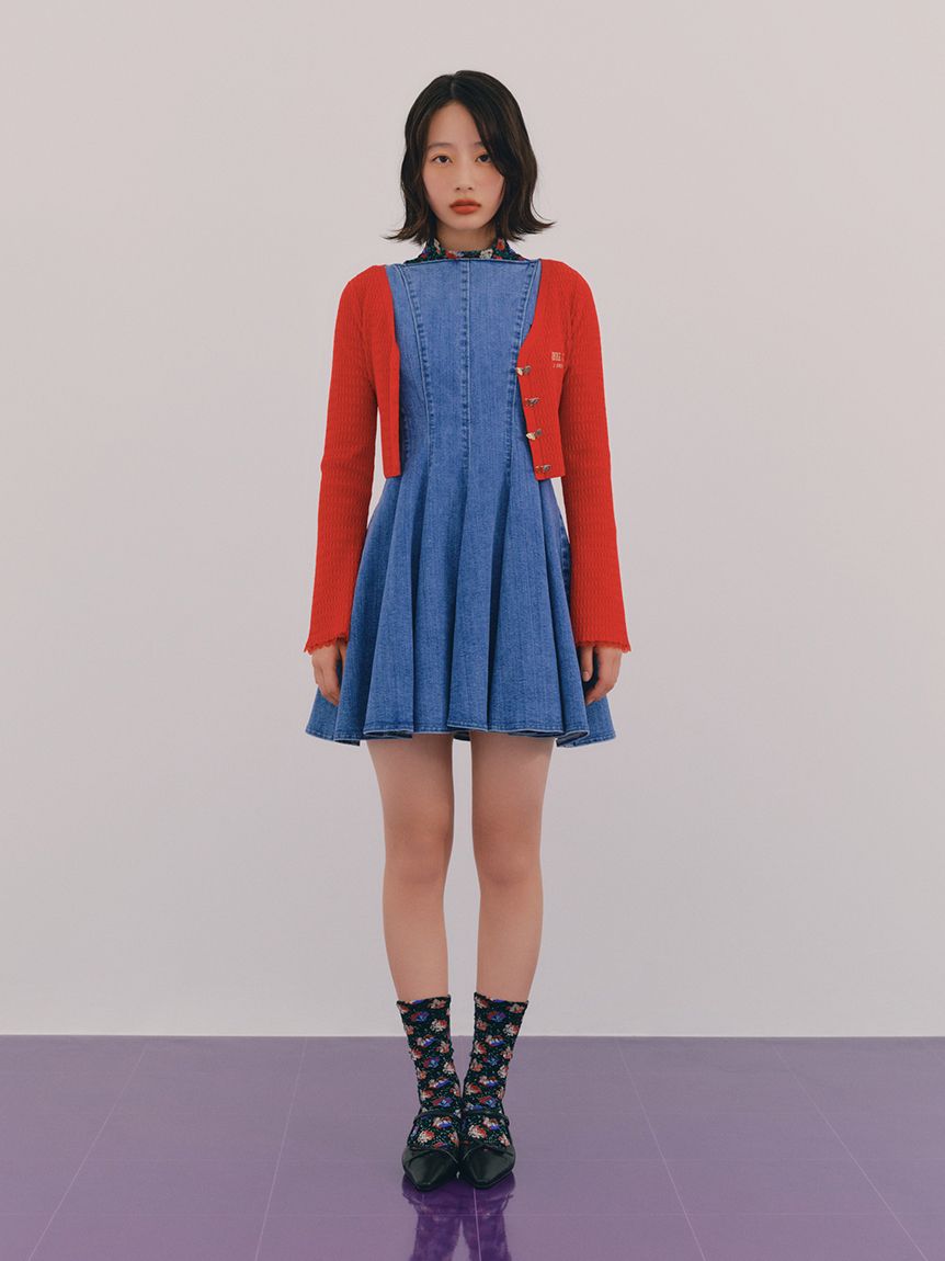 LILY BROWN × ANNA SUI】ロゴバリエソックス(レッグウェア