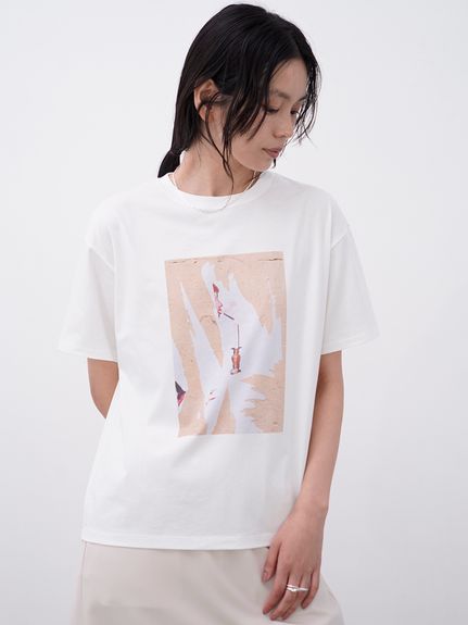 Tシャツ｜MIESROHE（ミースロエ）公式サイト