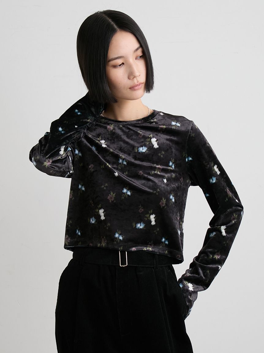 短丈ベロアトップス(カットソー)｜トップス｜MIESROHE（ミースロエ