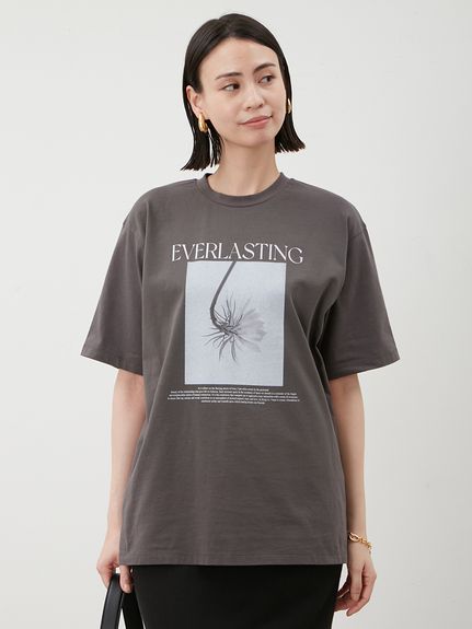 新品未使用♡ フラワーロゴTシャツ INGNI｜フラワーロゴTシャツ | Rakuten Fashion(楽天