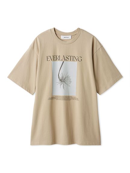 コットン100％クルーネックシアーロンT（Tシャツ/カットソー