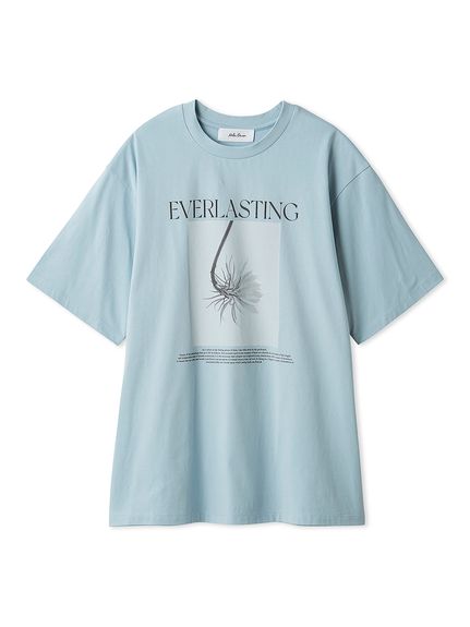 Tシャツ｜Mila Owen（ミラオーウェン）の通販サイト【公式】