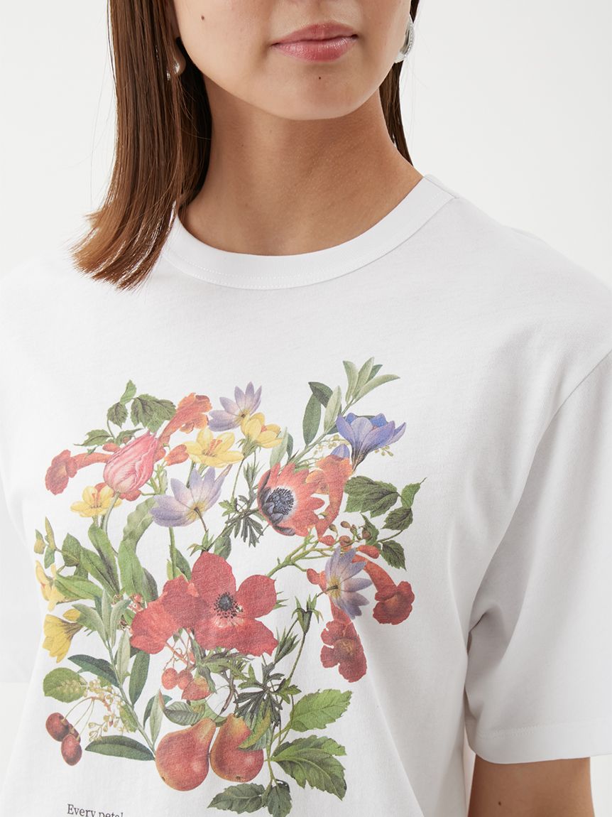 ボタニカルグラフィックTシャツ(Tシャツ)｜トップス｜Mila Owen（ミラ