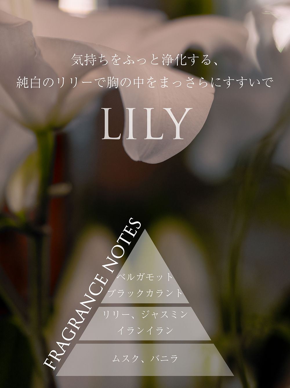 オードトワレ35mL リリー(オードトワレ)｜フレグランス│MUCHA