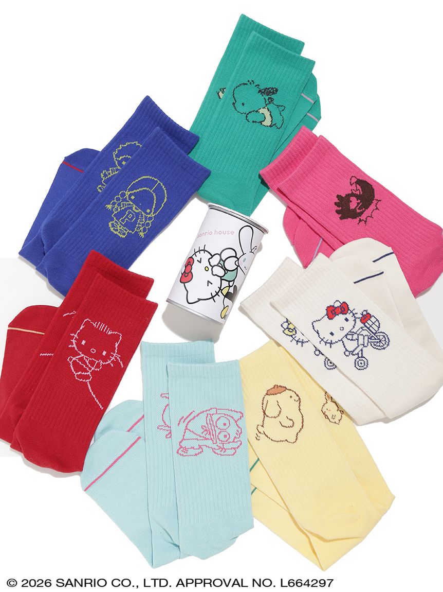 サンリオハウス　ランダム sanrio house シークレットコレクション】ハローキティファミリー