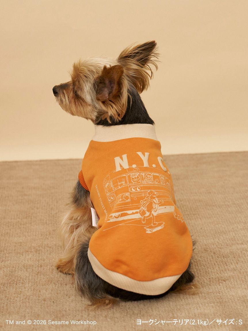 ヴィンテージ 木毛 モヘア テリア 犬 38cm DOG】N.Y.C裏毛プルオーバー(服)｜SESAME STREET MARKET/公式通販サイト