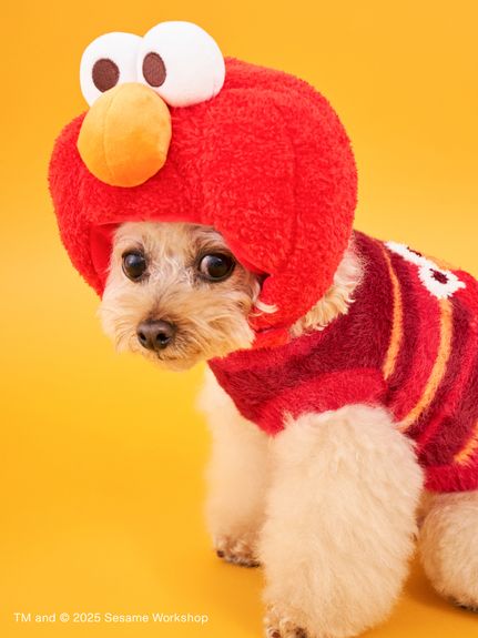 デッドストック　supreme 星座ビーニー　レオ leo 赤 DOG】ラテックストイ(ペットその他)｜SESAME STREET MARKET/公式通販サイト