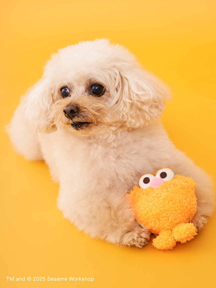 DOG】ミニフレンドトイ(ペットその他)｜SESAME STREET MARKET/公式通販