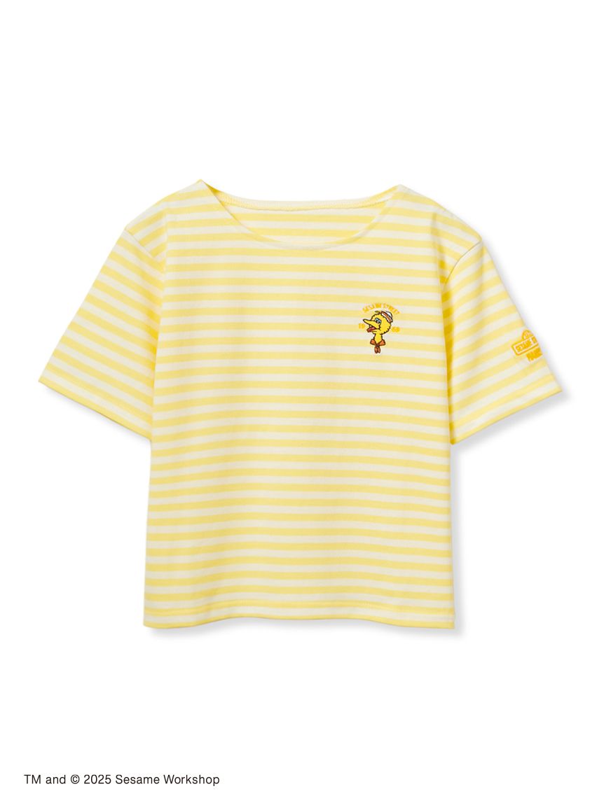 マリンボーダー⚓️様 SHINZONE（シンゾーン） マリンボーダー Tシャツ 19SMSCU93