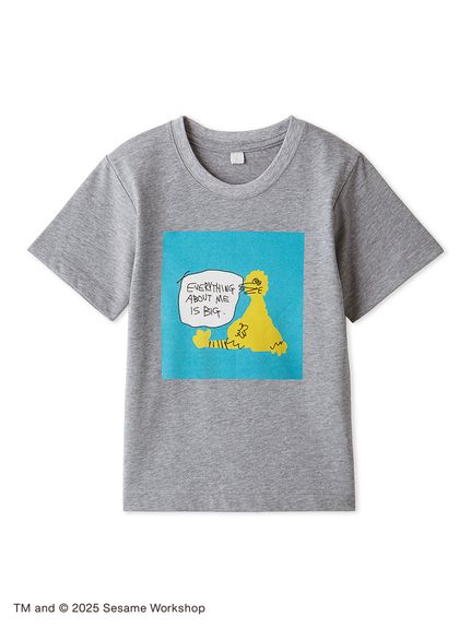 セサミちゃんオーダー品 ふかふか布ブロック/セサミストリート: おもちゃ[DADWAY