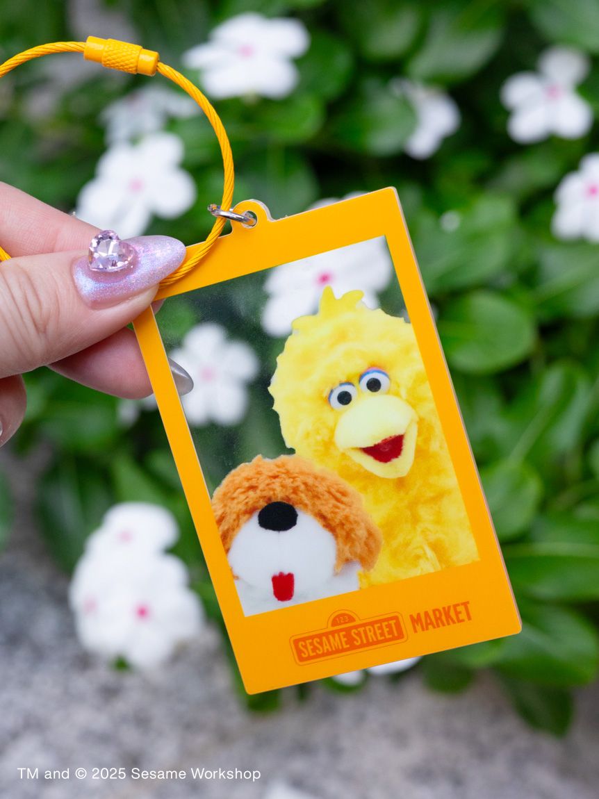ぬいぐるみフォト アクリルキーチェーン(キーホルダー)｜SESAME STREET