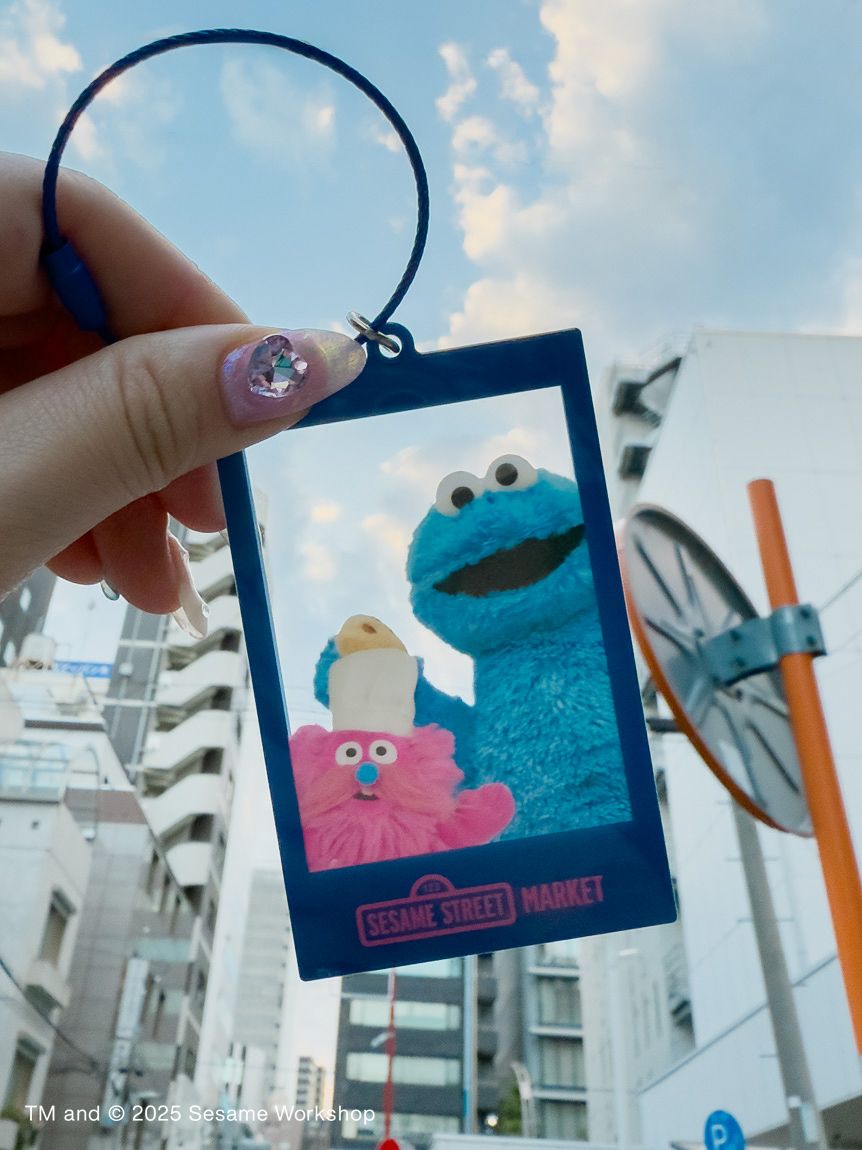 ぬいぐるみフォト アクリルキーチェーン(キーホルダー)｜SESAME STREET