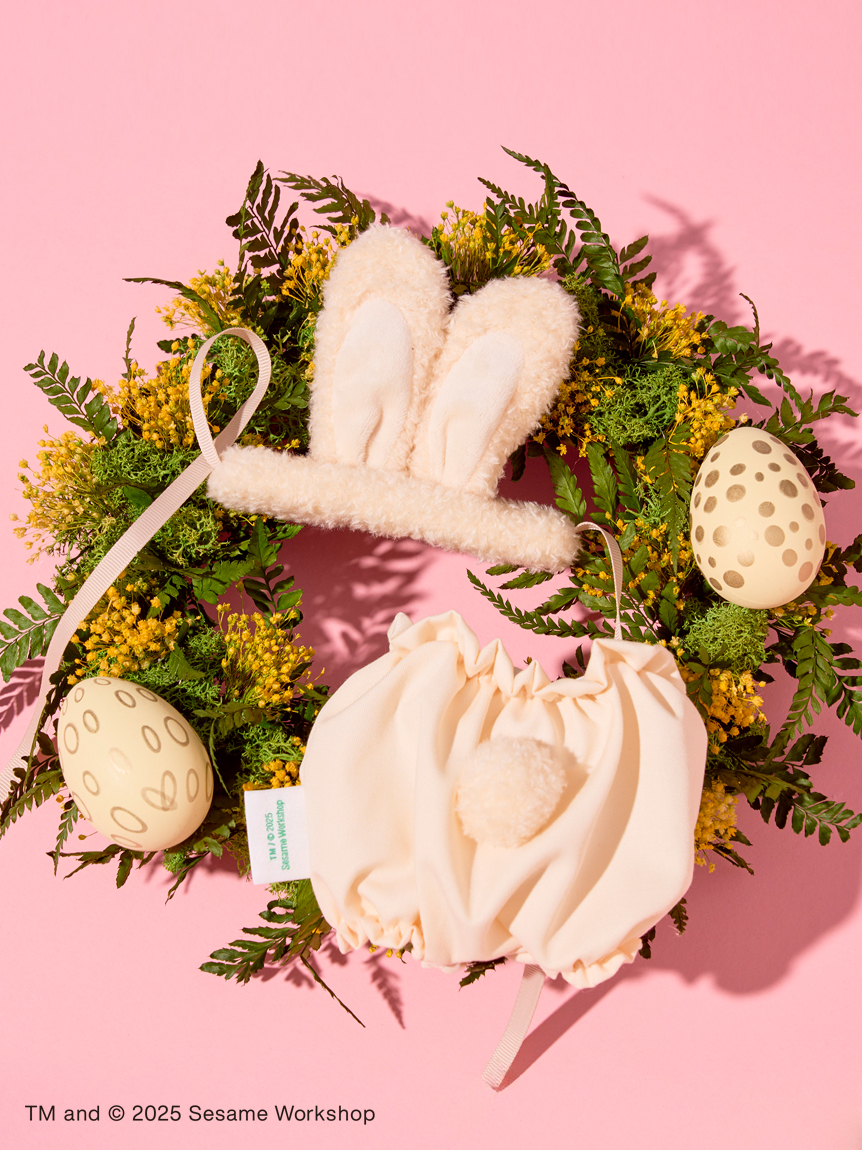 セサミストリート ぬいぐるみセット 楽天市場】【ONLINE限定】ペアぬいぐるみ(クッキーモンスター&ゴンガー