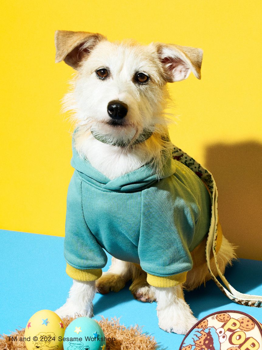 DOG】HELLOフーディー(服)｜SESAME STREET MARKET/公式通販サイト