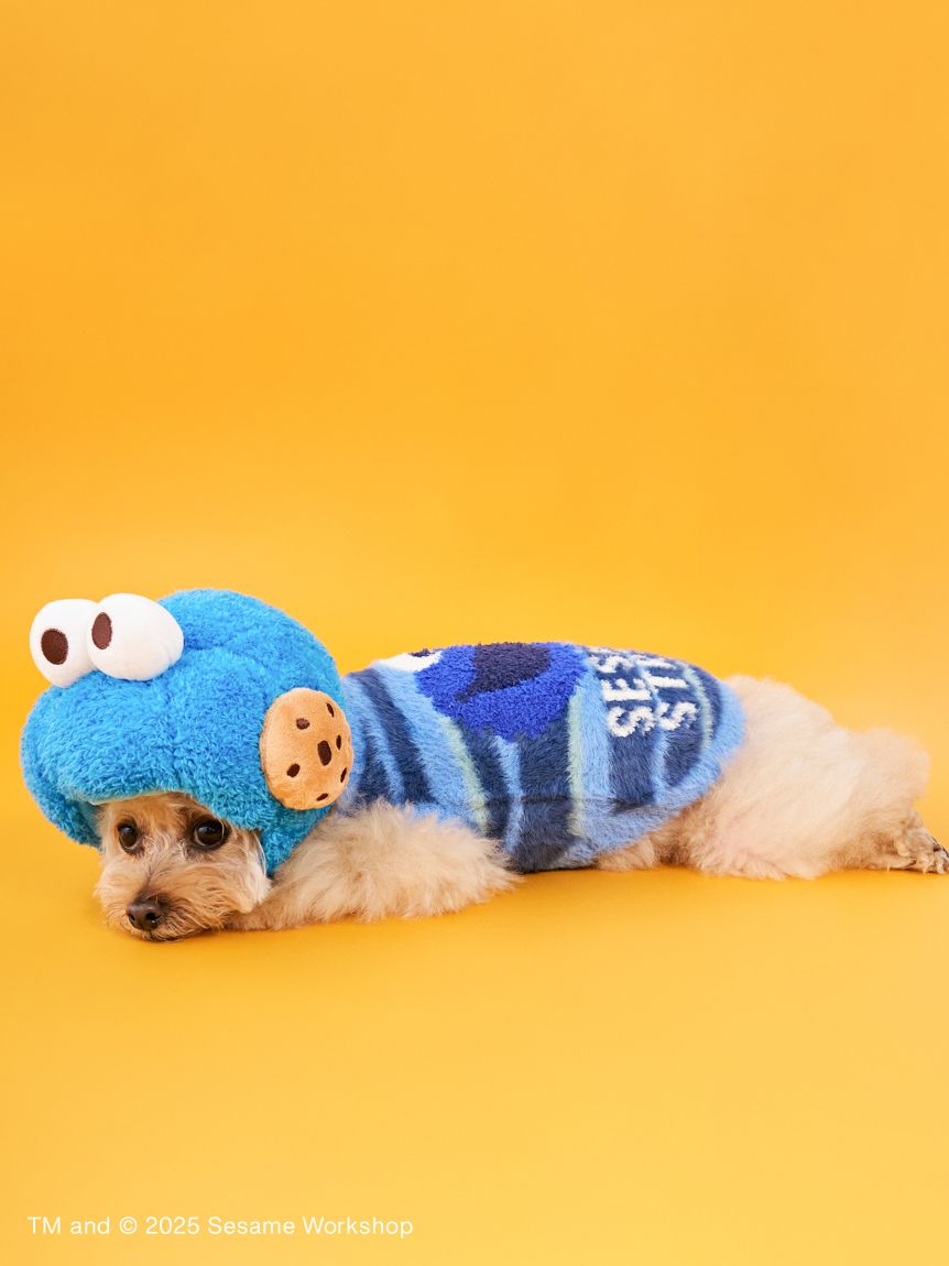 DOG】ヘッドアクセサリー(ペットその他)｜SESAME STREET MARKET/公式