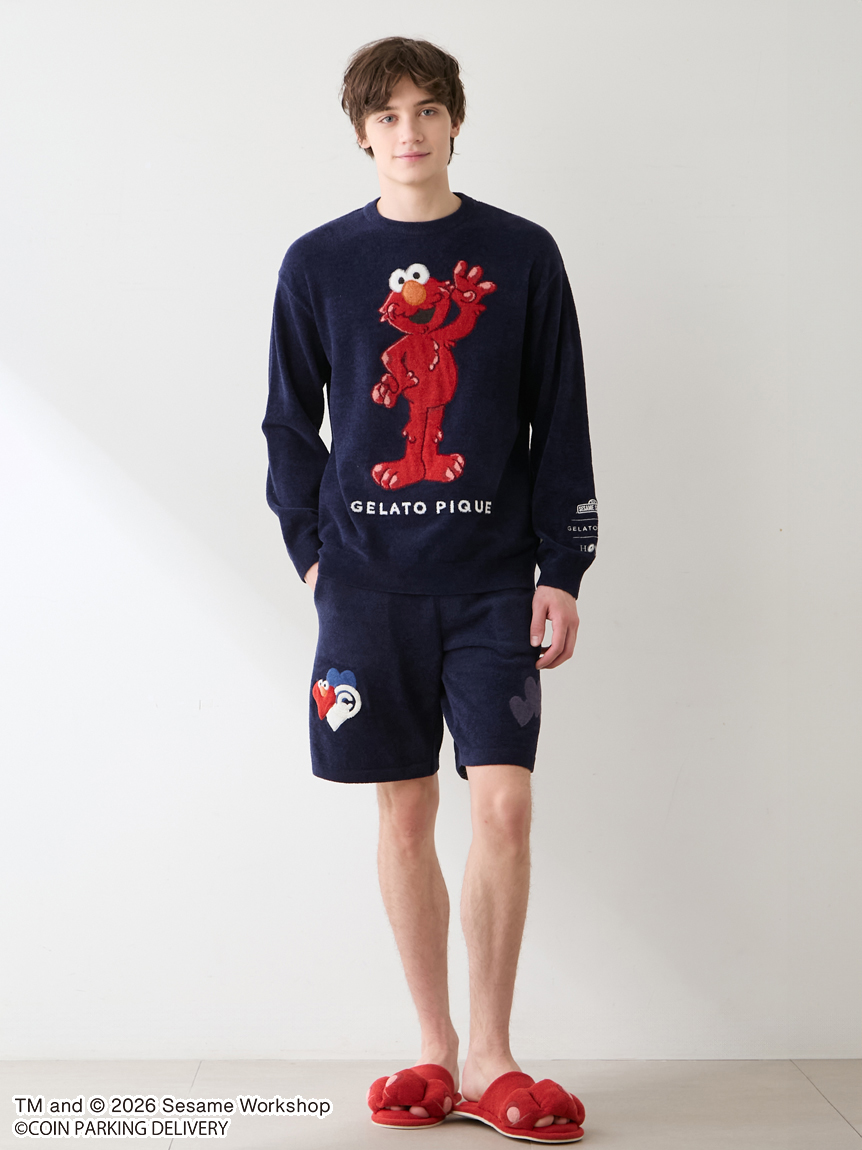 SESAMESTREET×CPDHOOME meets GELATOPIQUE】エアリーモコジャガード