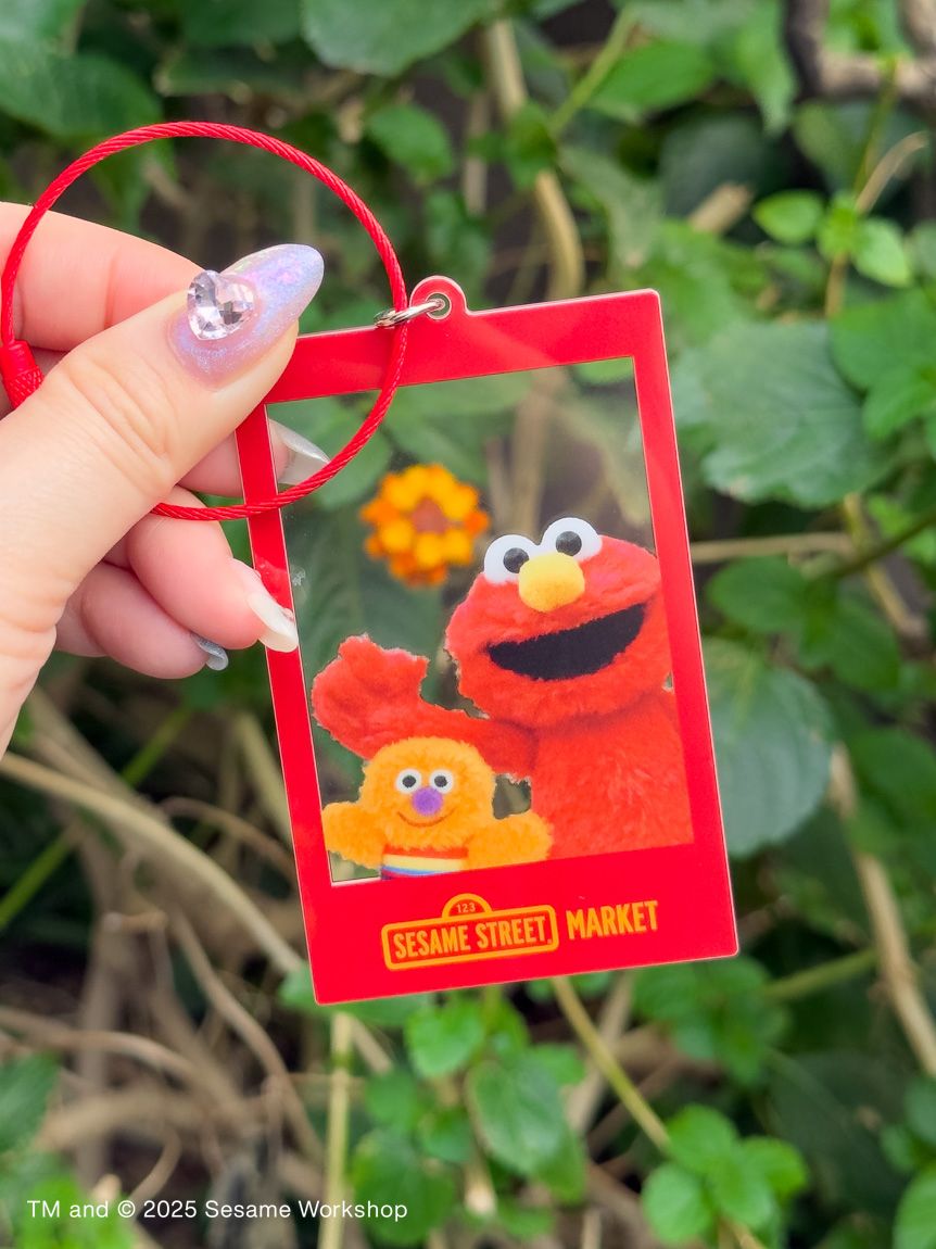 ぬいぐるみフォト アクリルキーチェーン(キーホルダー)｜SESAME STREET