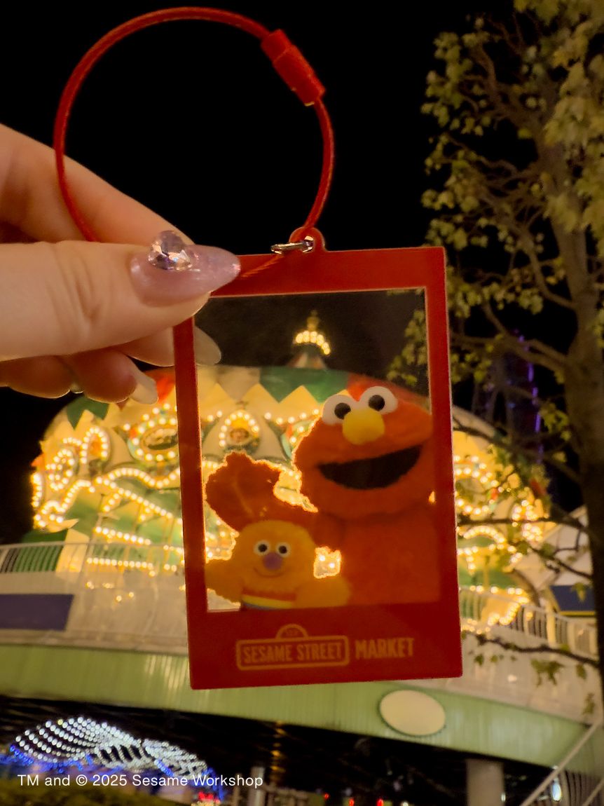 ぬいぐるみフォト アクリルキーチェーン(キーホルダー)｜SESAME STREET